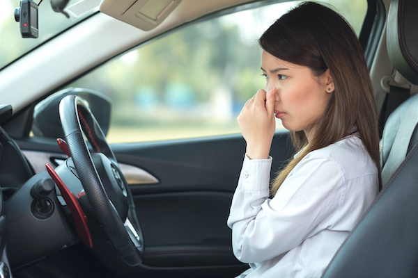 What Can Cause Your Car to Smell Like Rotten Eggs?